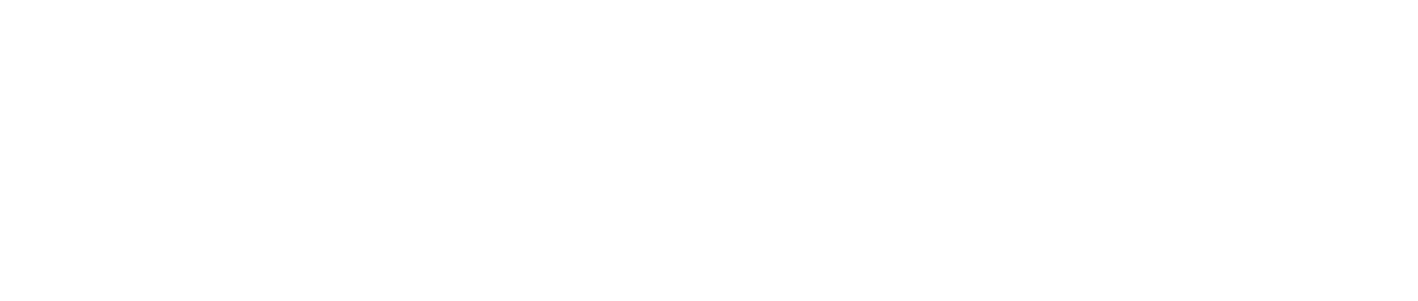 Traulink